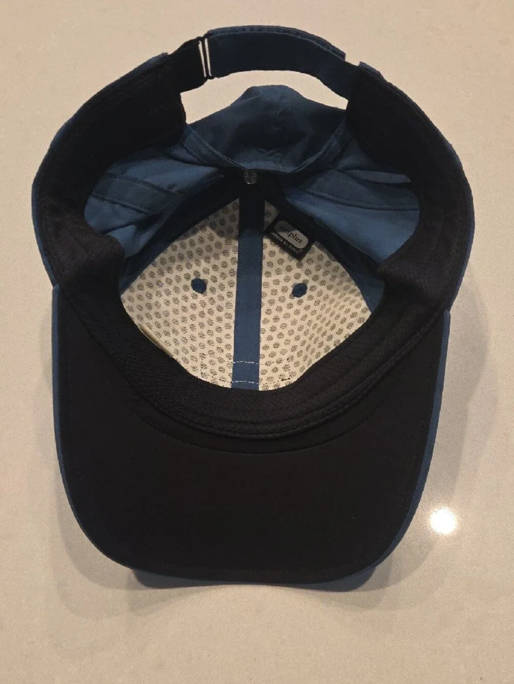 Patagonia Blue Logo Cap